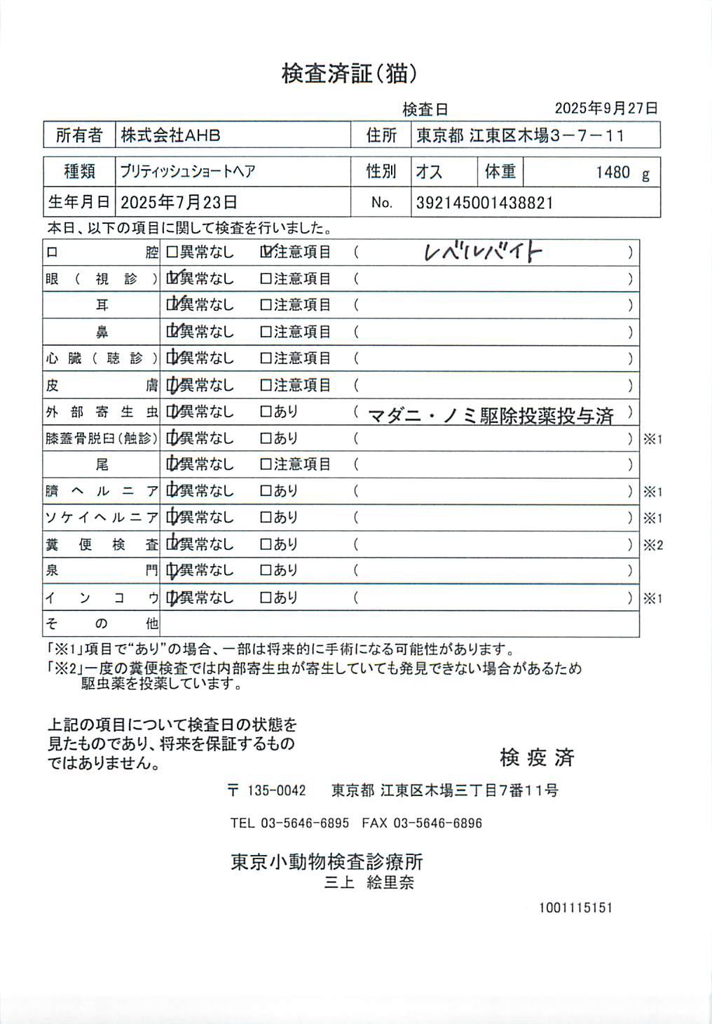 ブリティッシュショートヘア