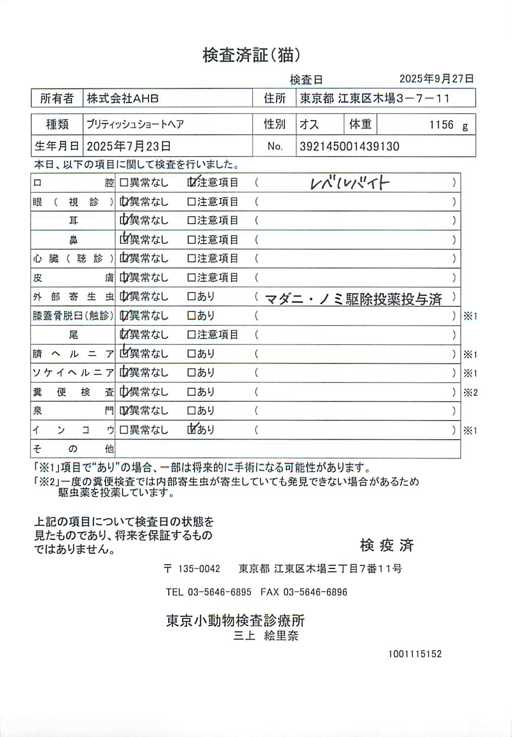 ブリティッシュショートヘア