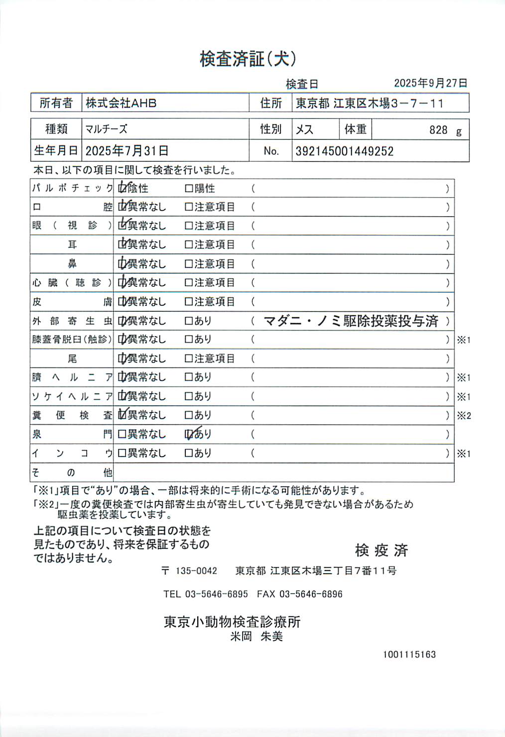 マルチーズ