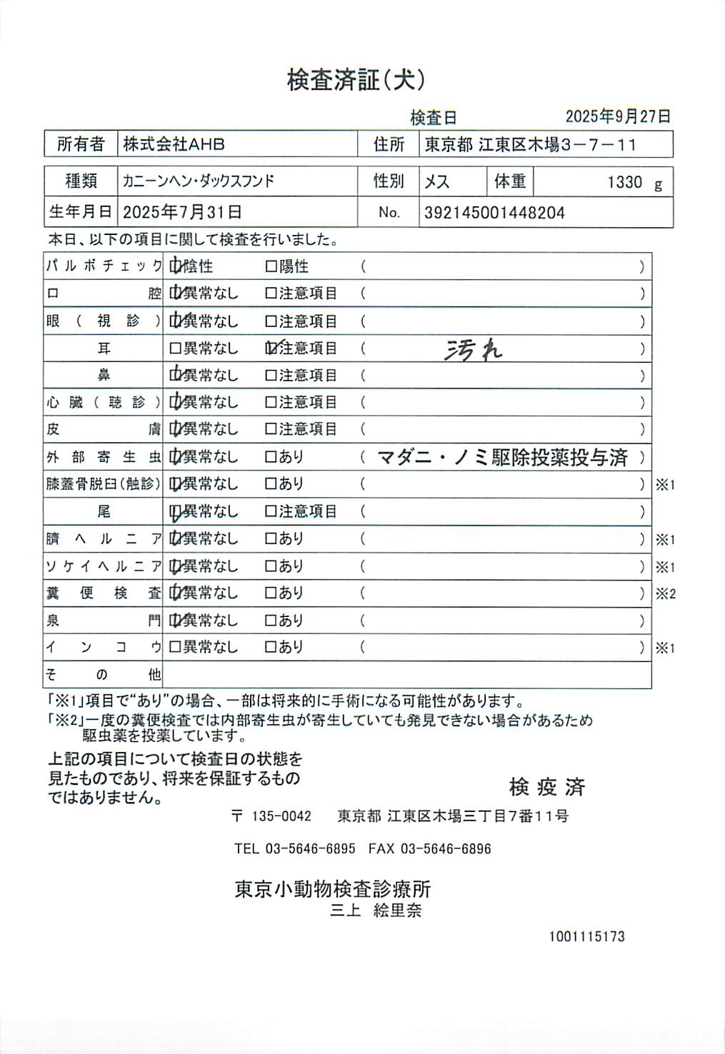 カニーンヘン・ダックスフンド