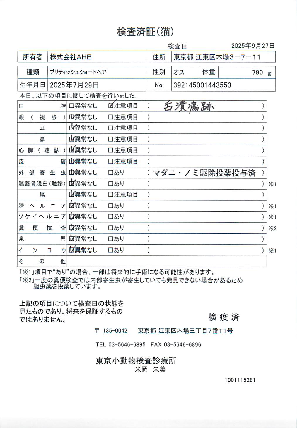 ブリティッシュショートヘア