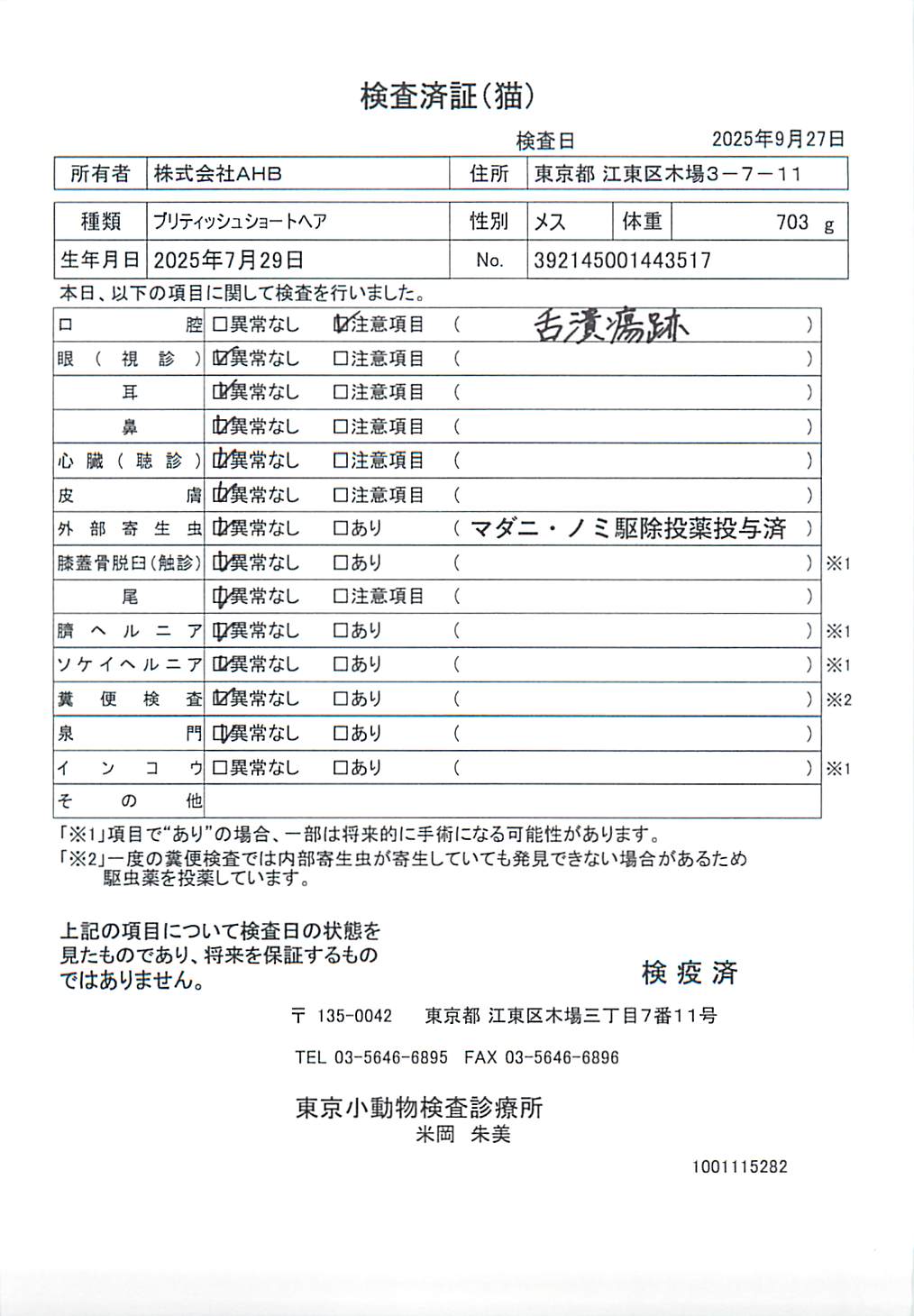 ブリティッシュショートヘア
