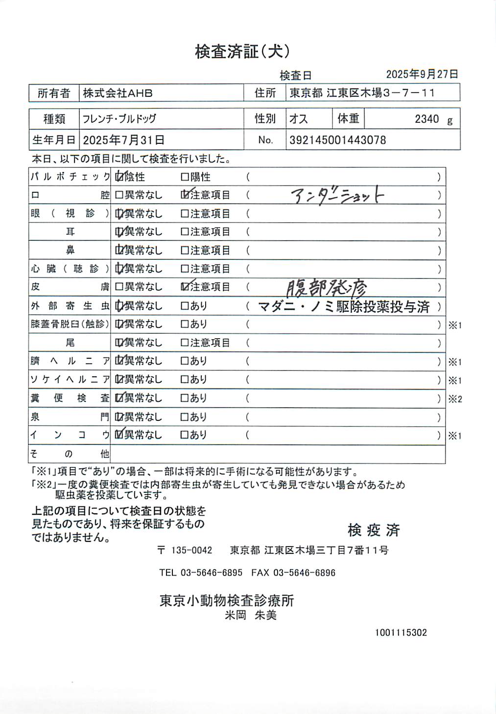 フレンチ・ブルドッグ