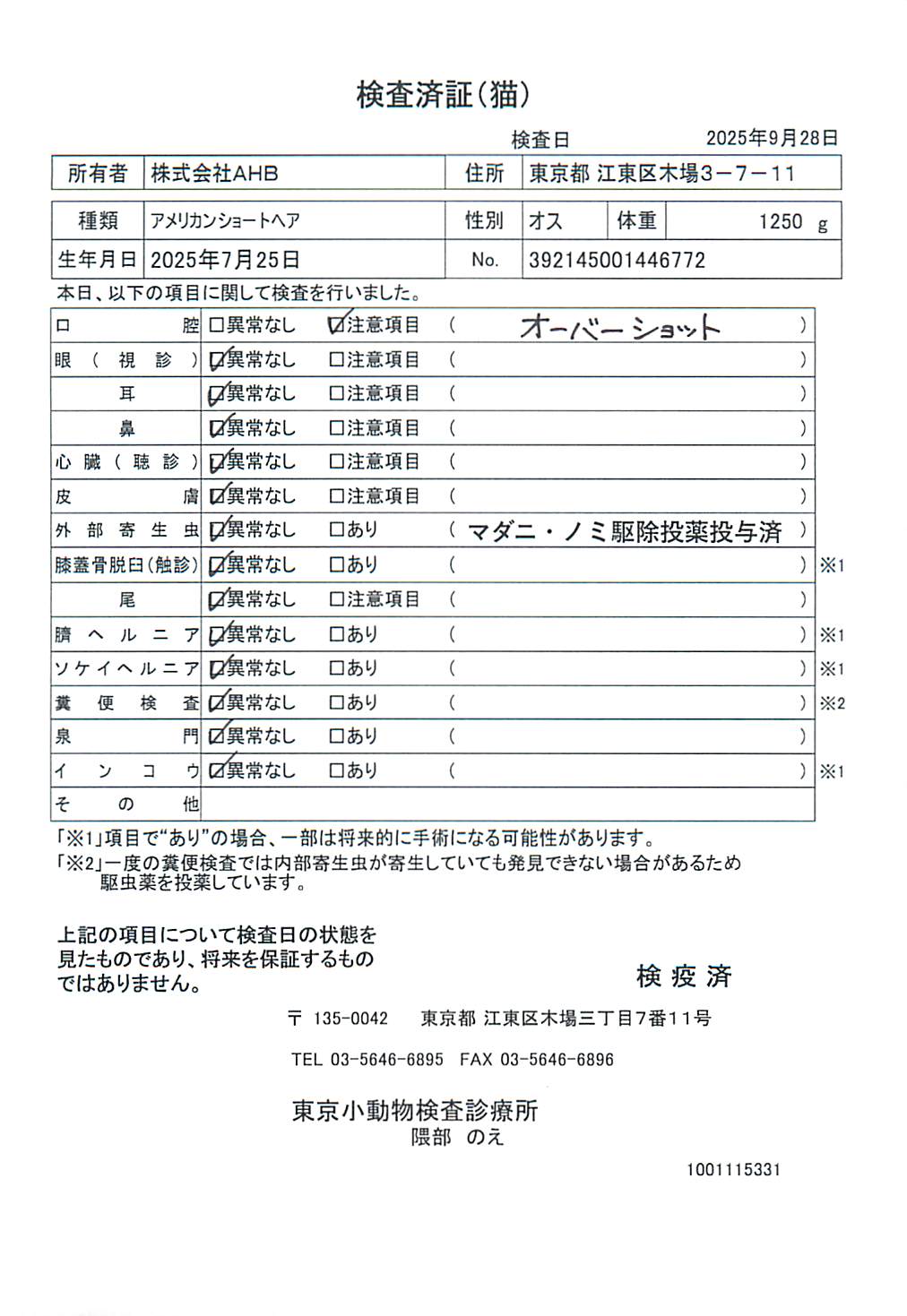 アメリカンショートヘア