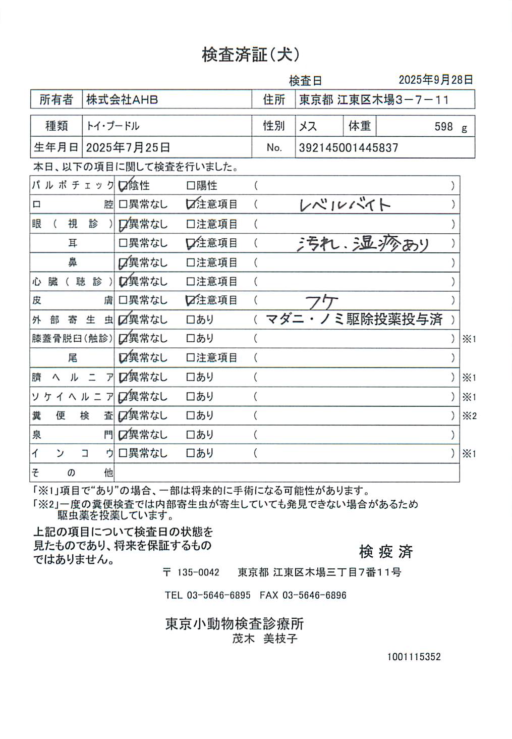 トイ・プードル
