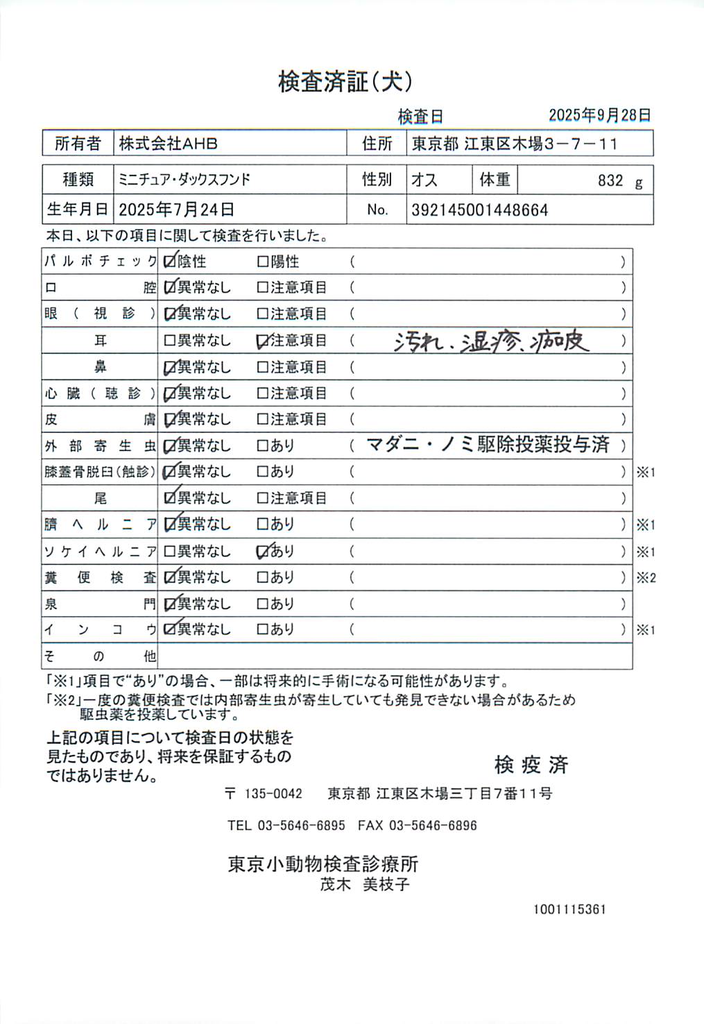ミニチュア・ダックスフンド