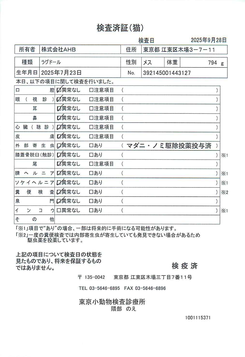 ラグドール