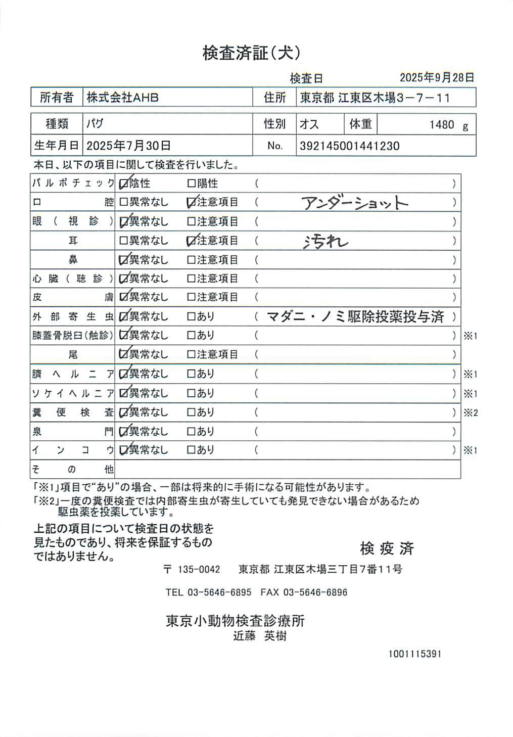 パグ