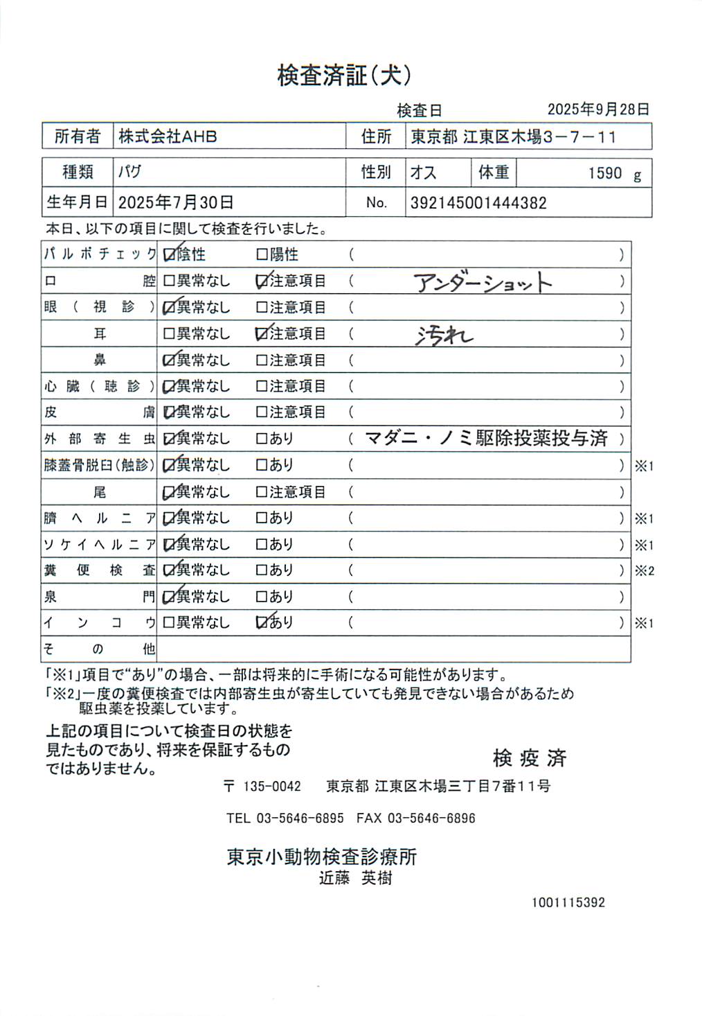 パグ