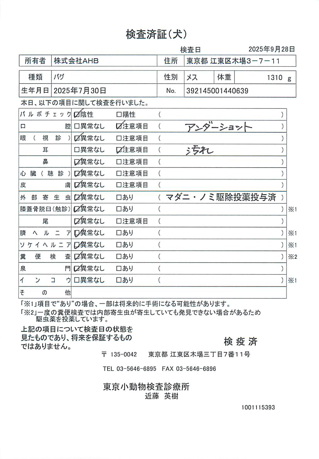 パグ