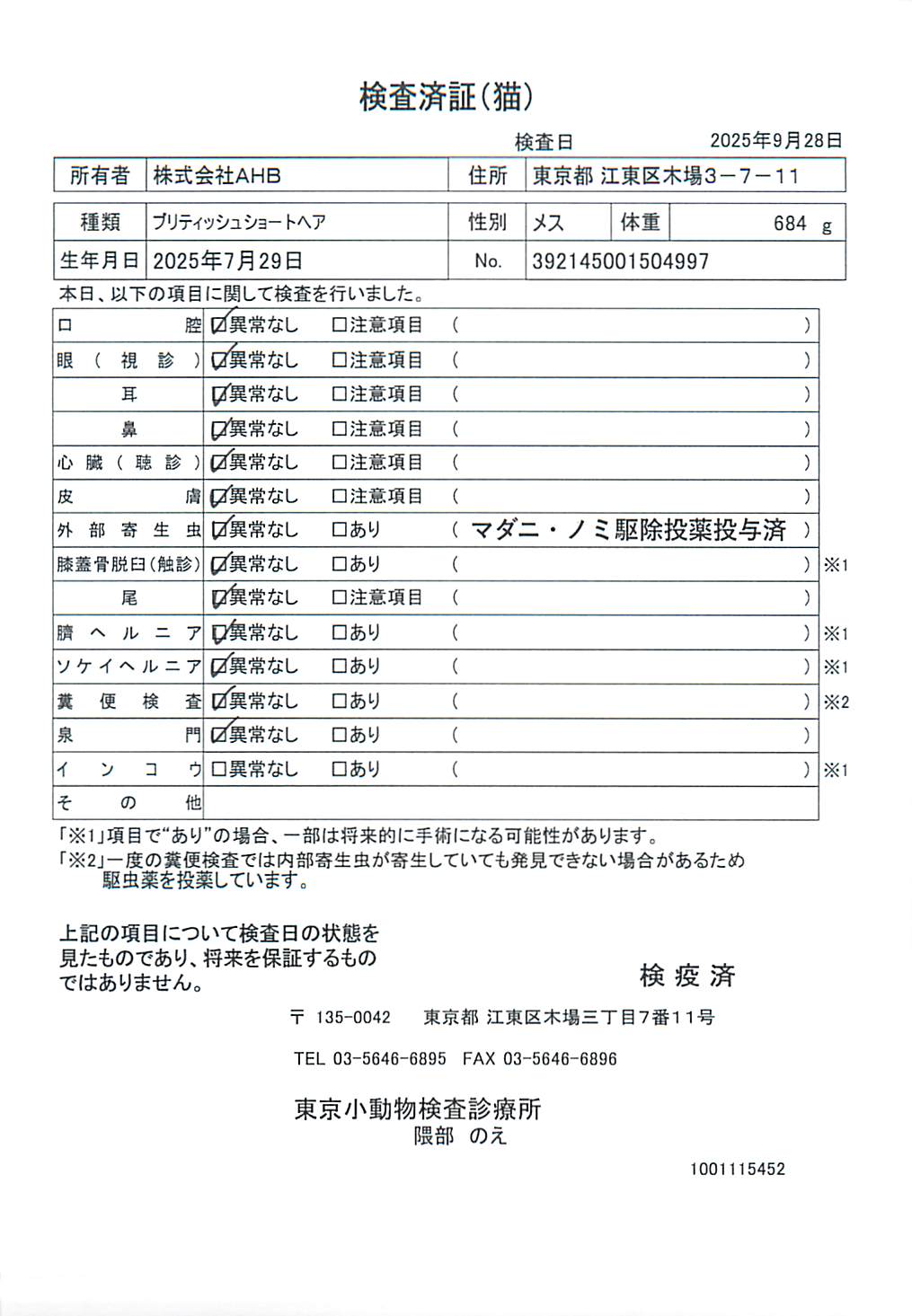 ブリティッシュショートヘア