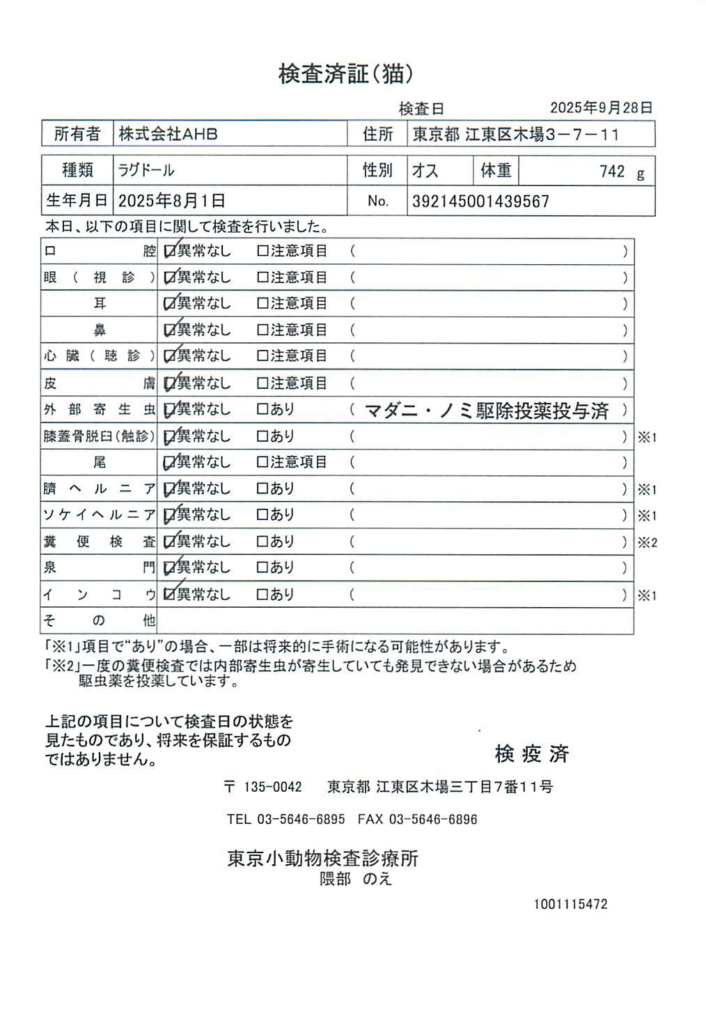 ラグドール