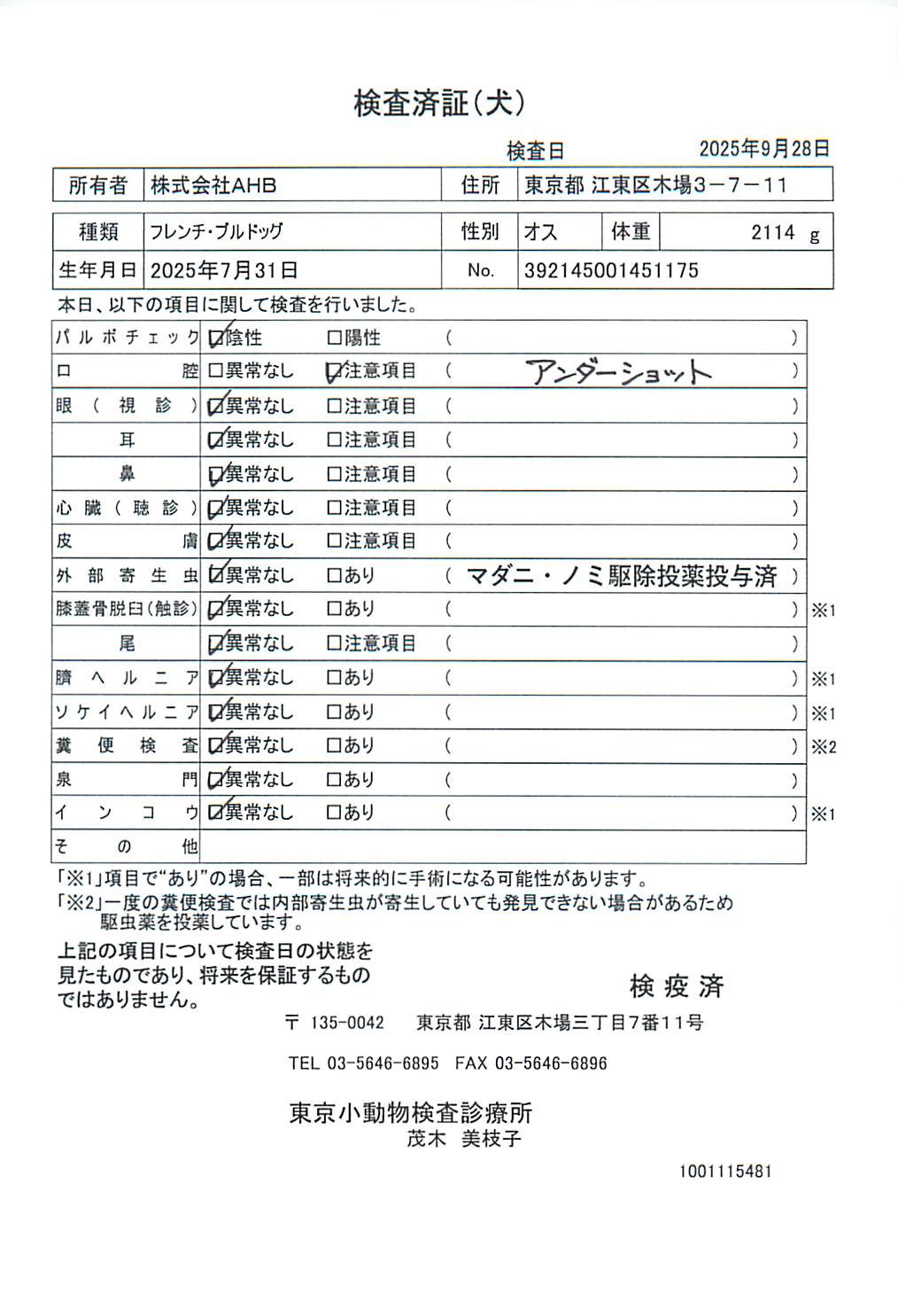 フレンチ・ブルドッグ