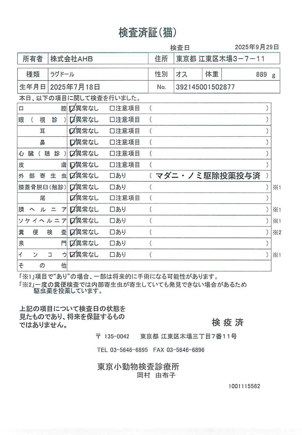 ラグドール