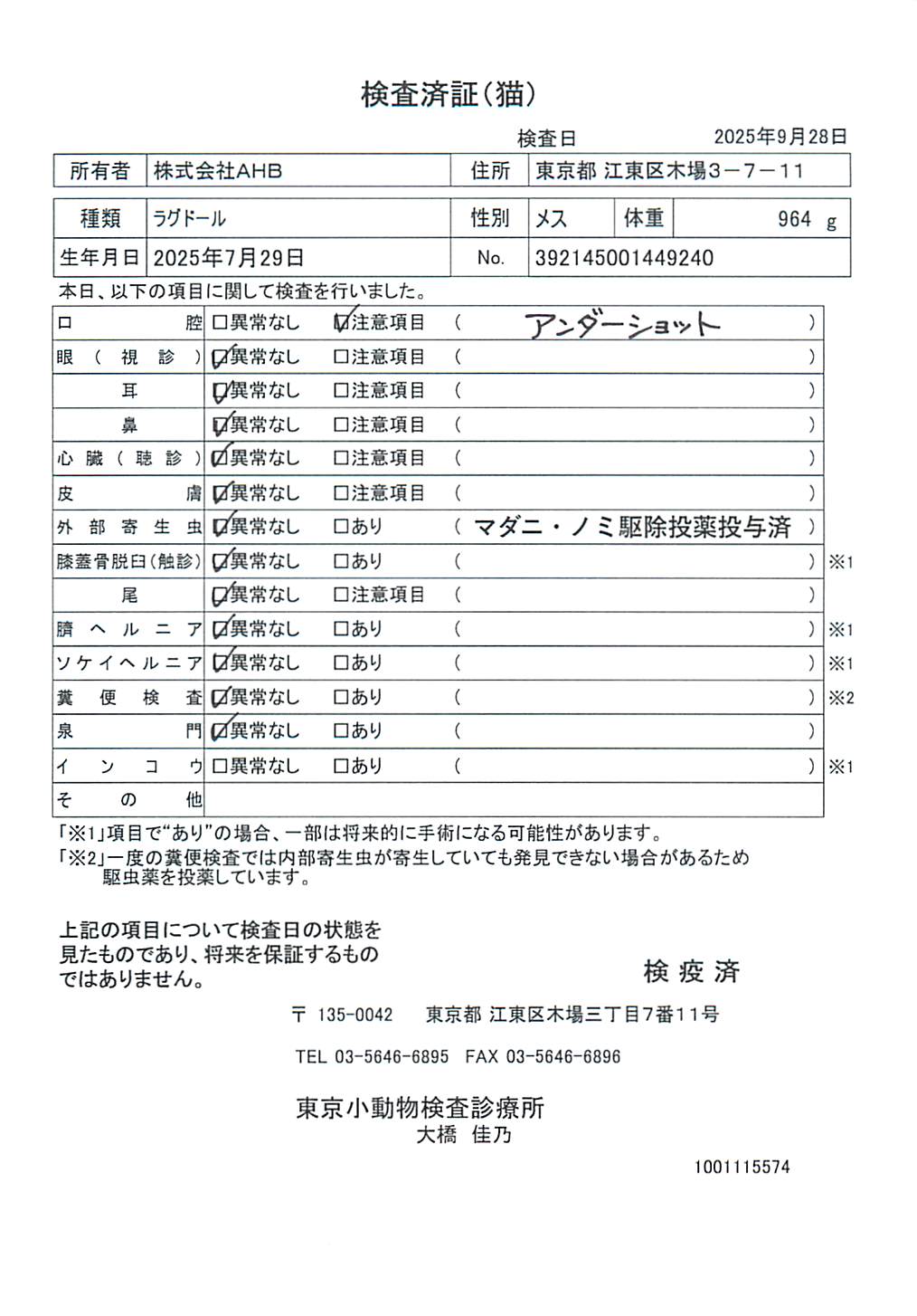 ラグドール