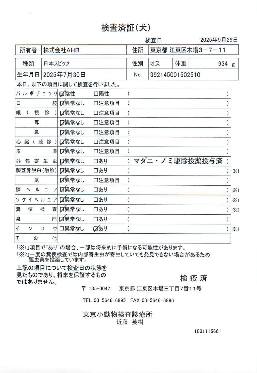 日本スピッツ