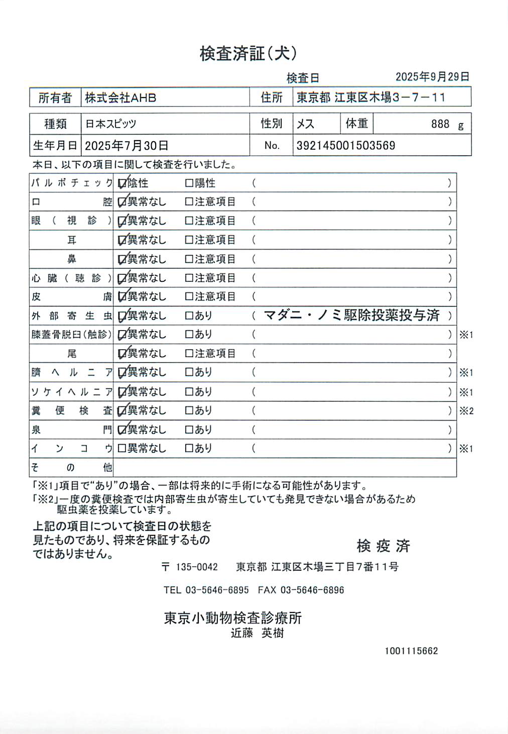 日本スピッツ