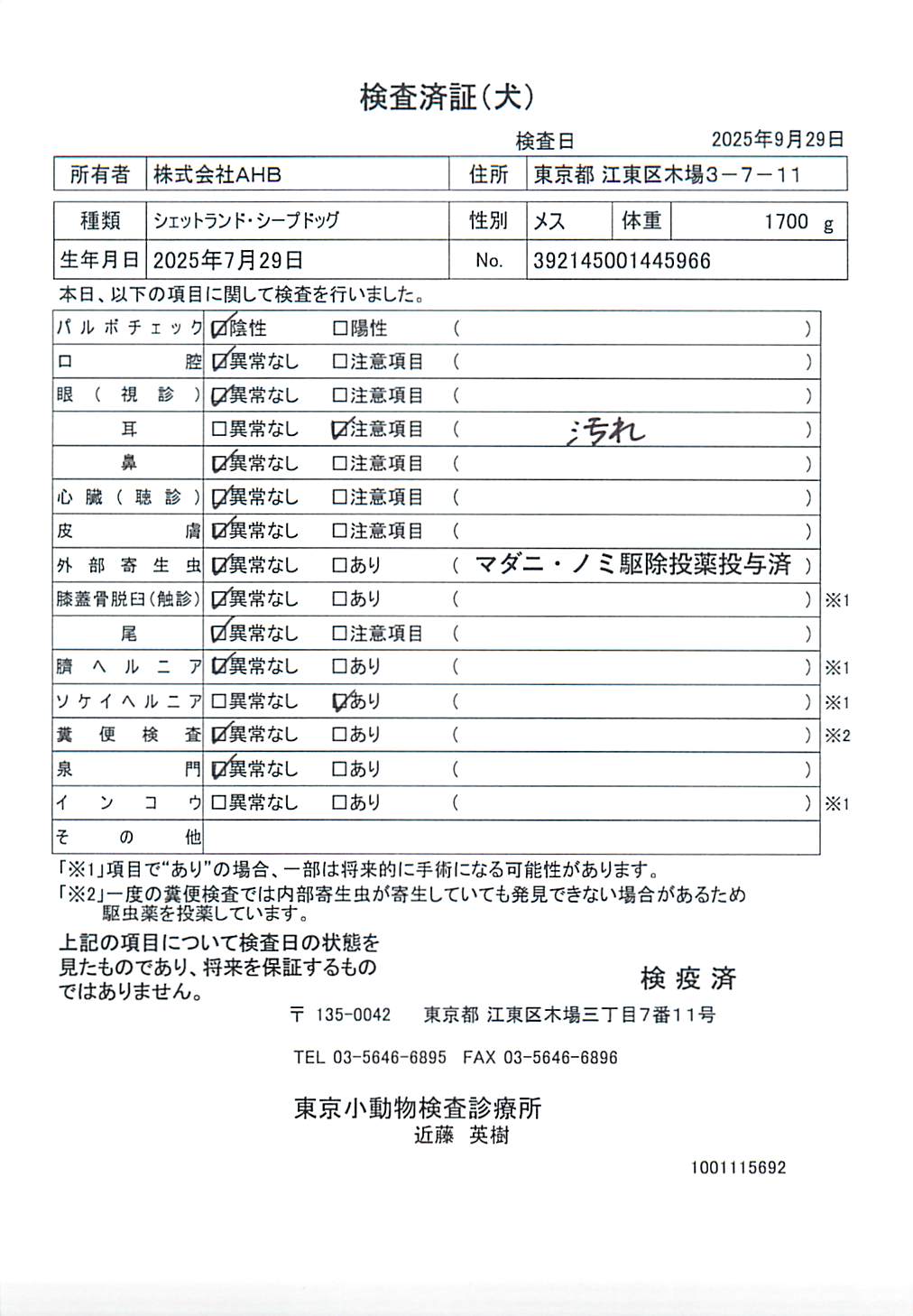 シェットランド・シープドッグ