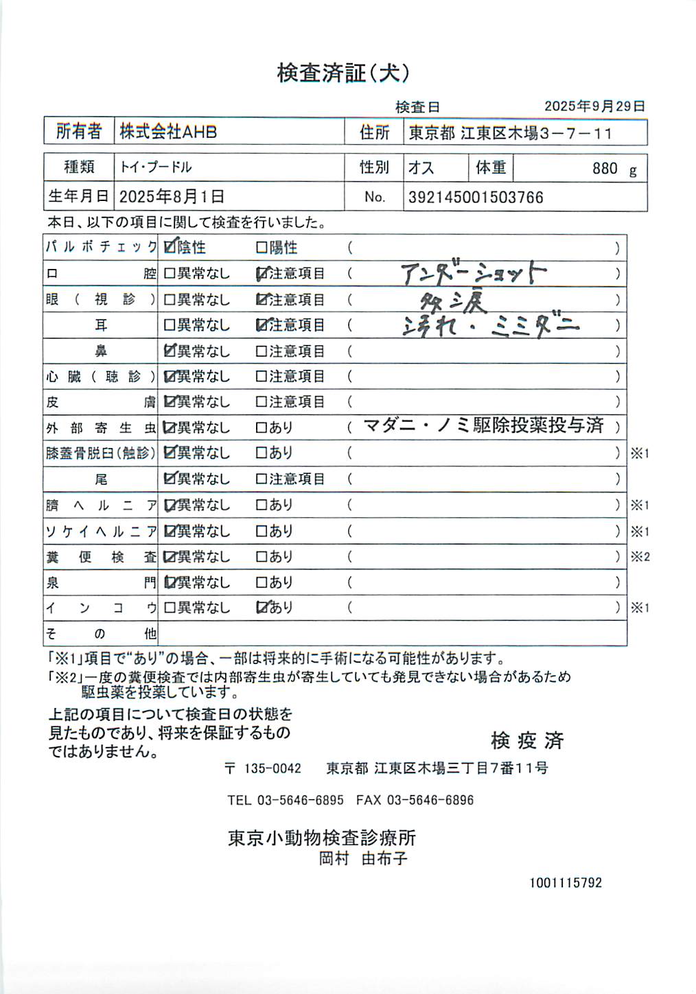 ミニチュア・ダックスフンド