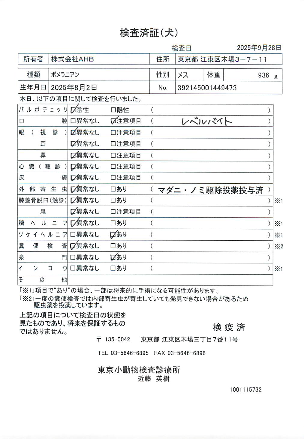 ポメラニアン