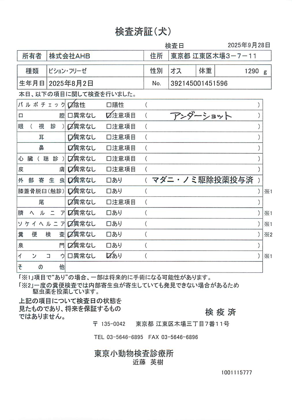 ビション・フリーゼ