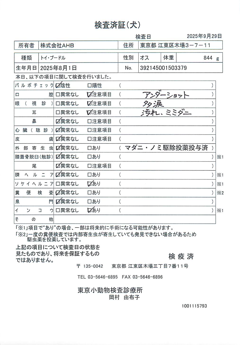トイ・プードル