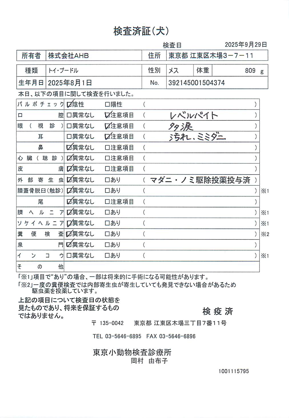トイ・プードル