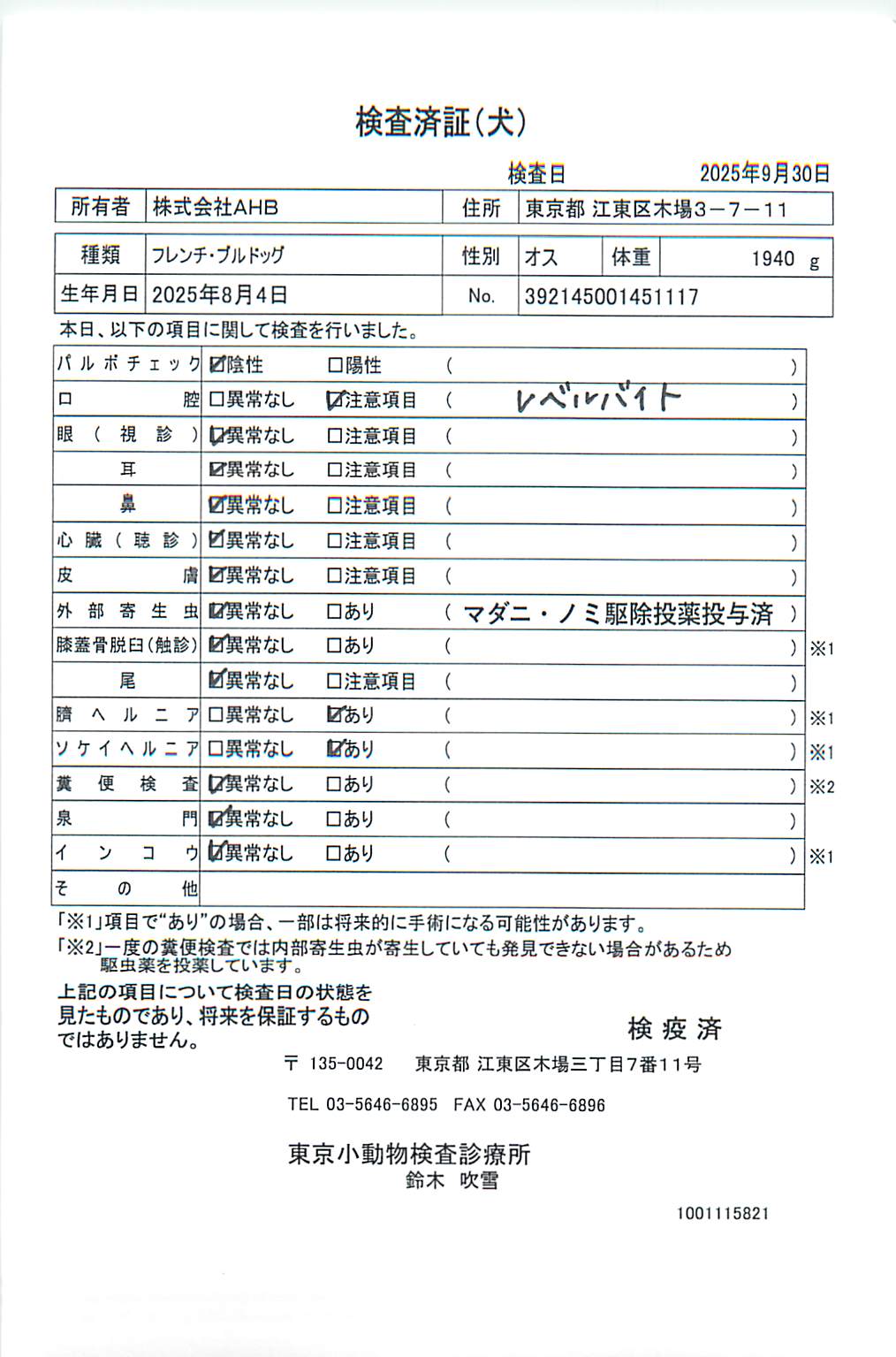 フレンチ・ブルドッグ