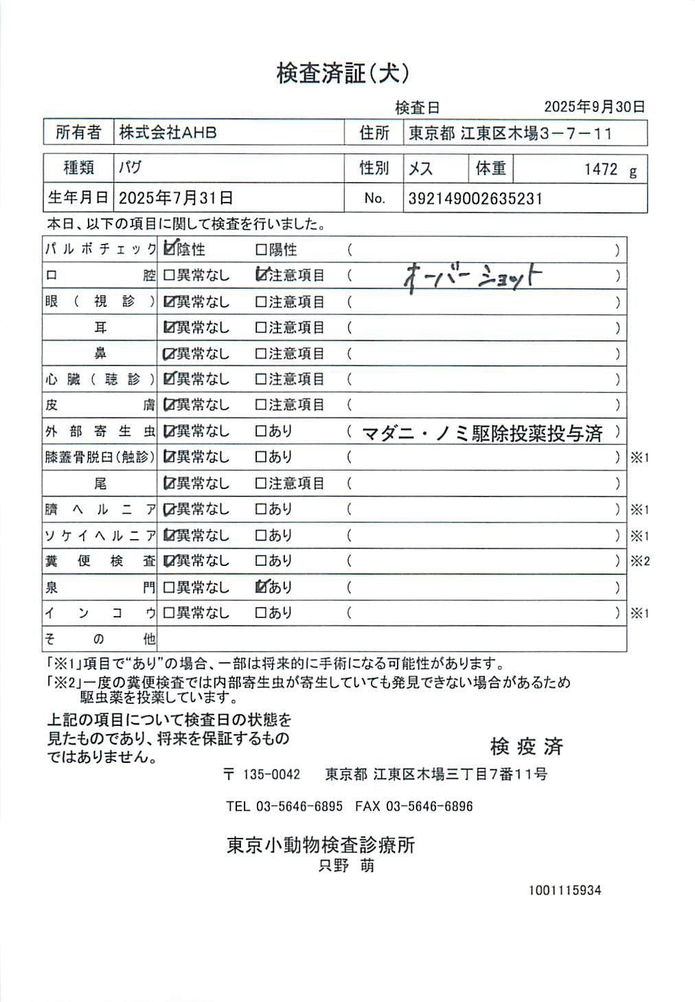 パグ