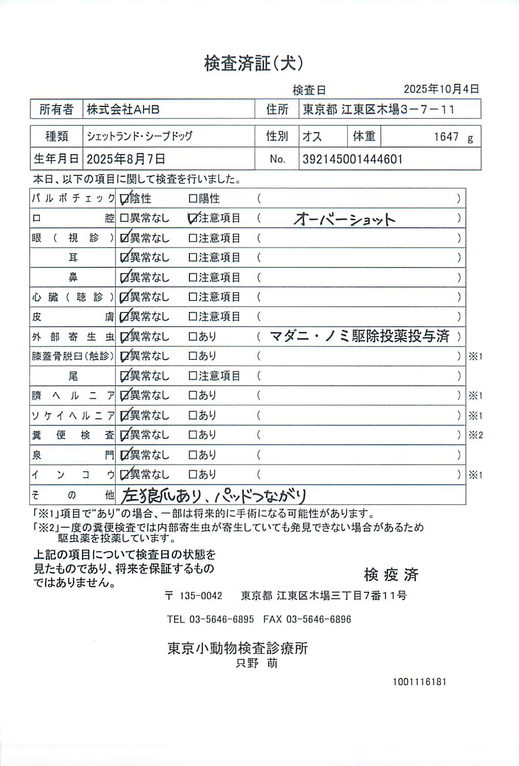 シェットランド・シープドッグ