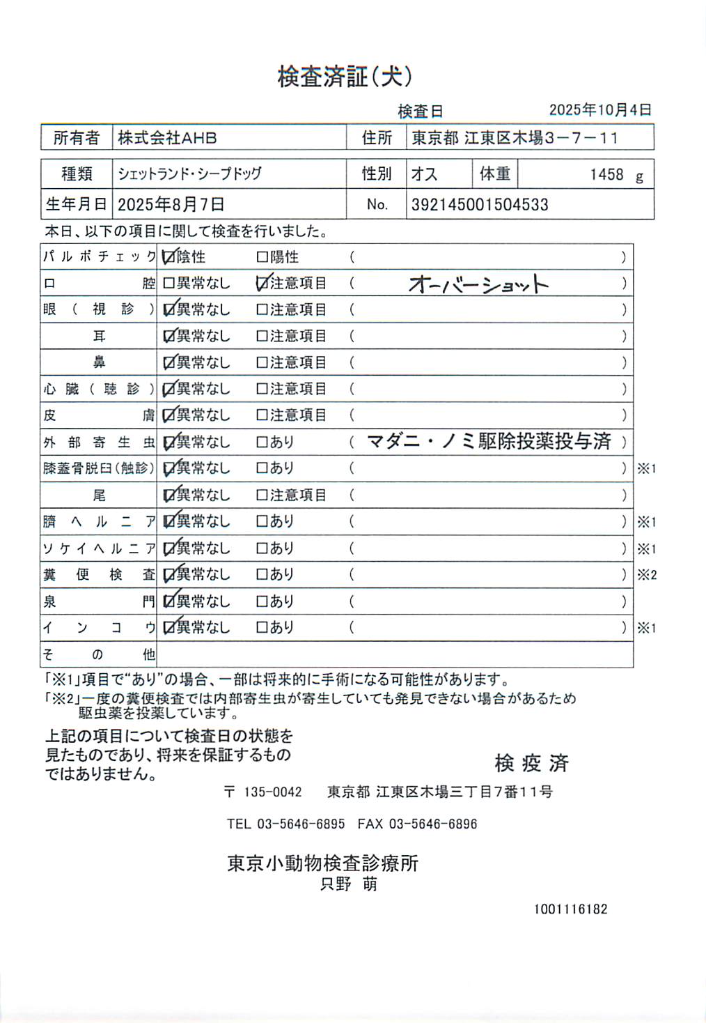 シェットランド・シープドッグ