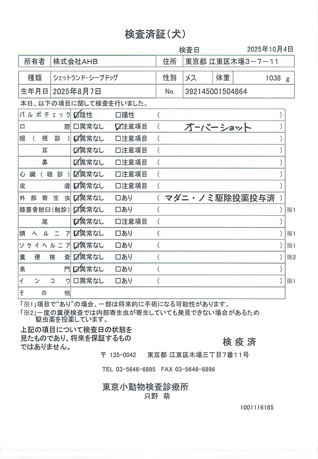 シェットランド・シープドッグ