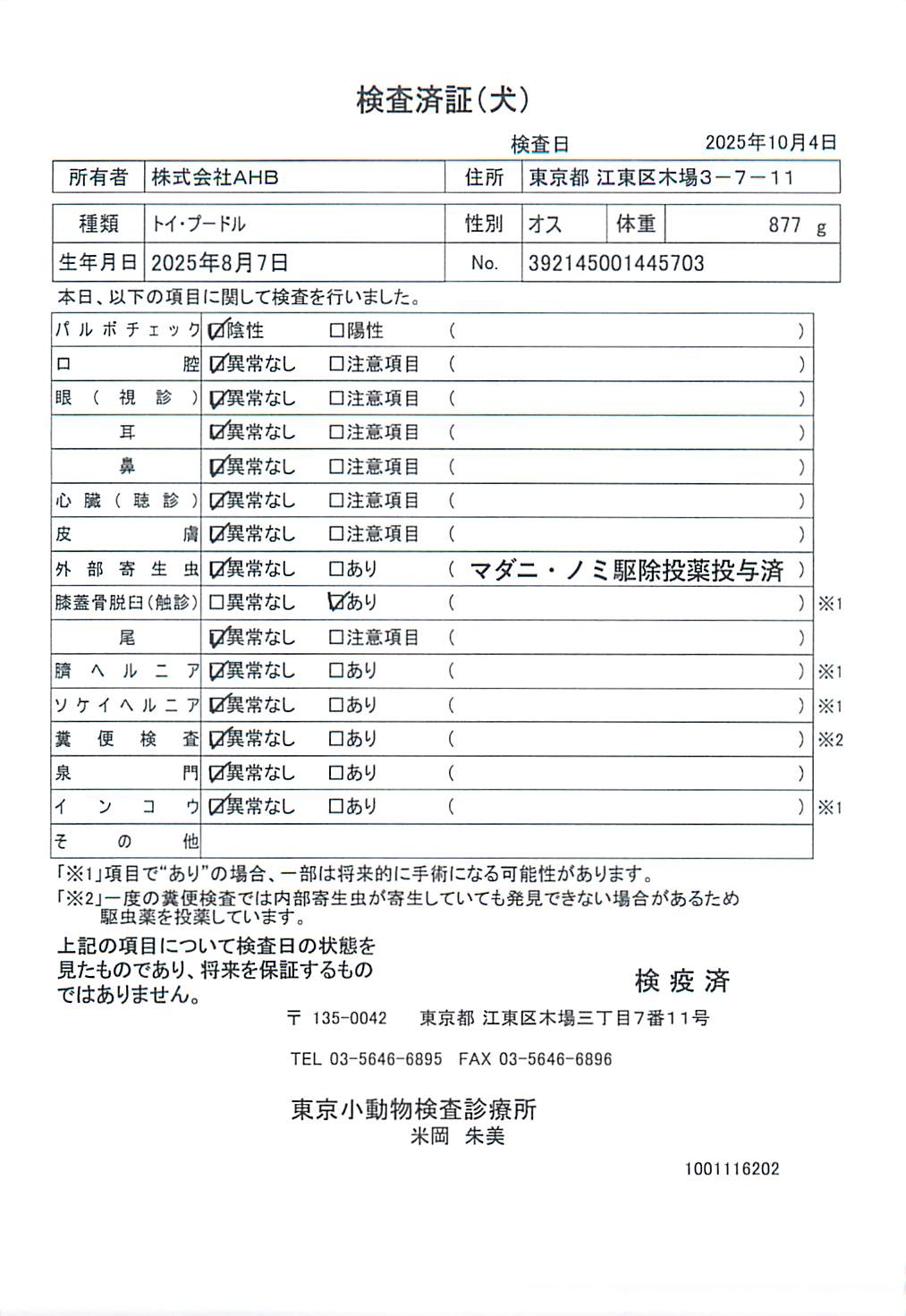 トイ・プードル