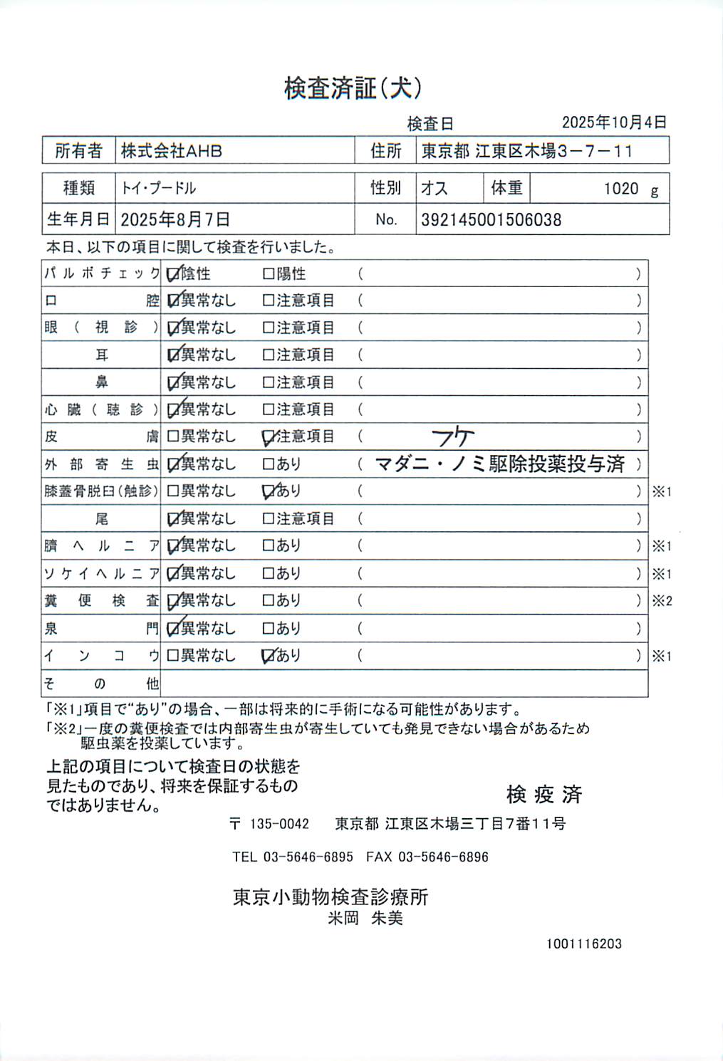 トイ・プードル