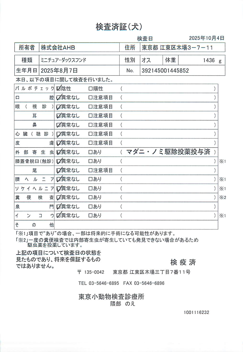 ミニチュア・ダックスフンド
