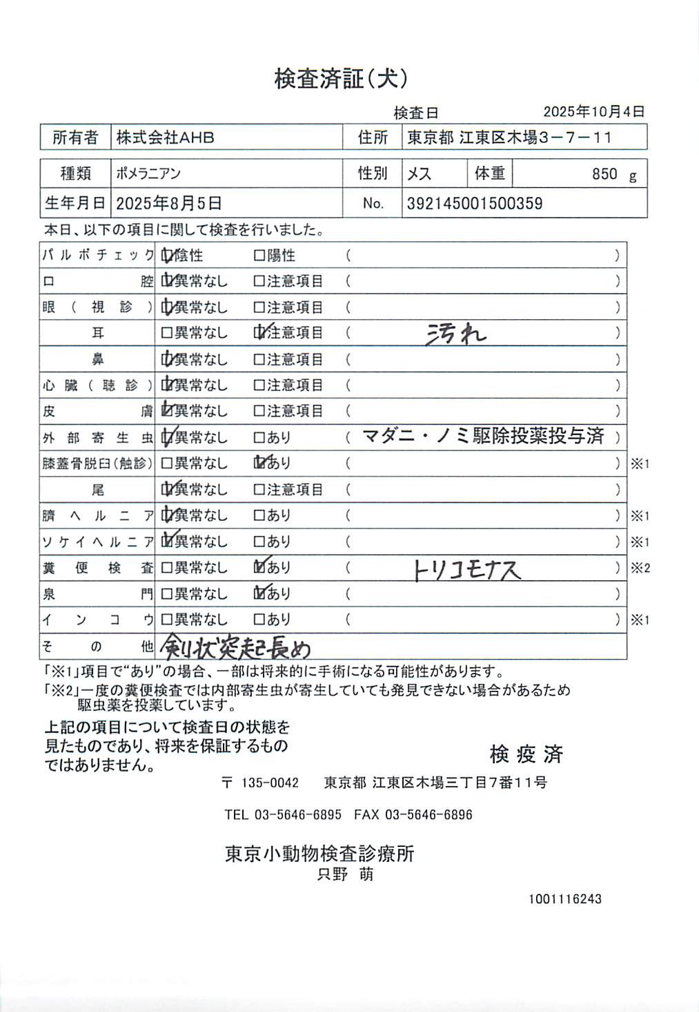 ポメラニアン