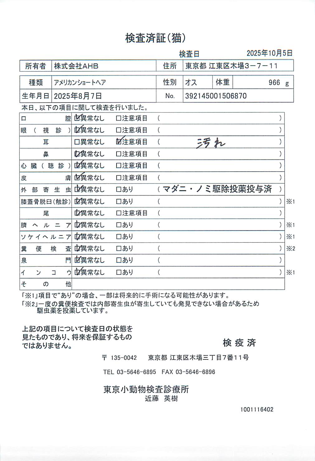 アメリカンショートヘア