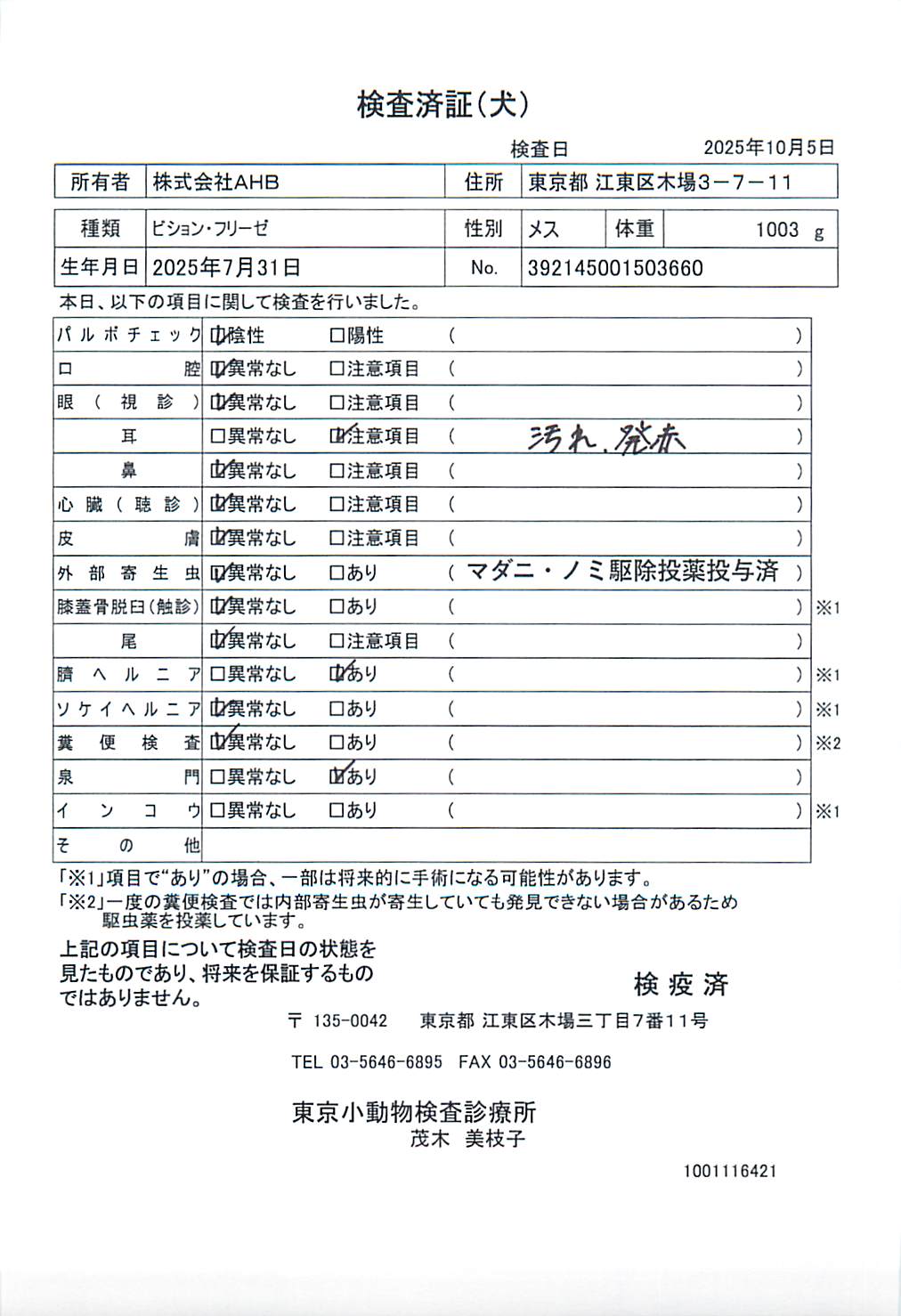 ビション・フリーゼ