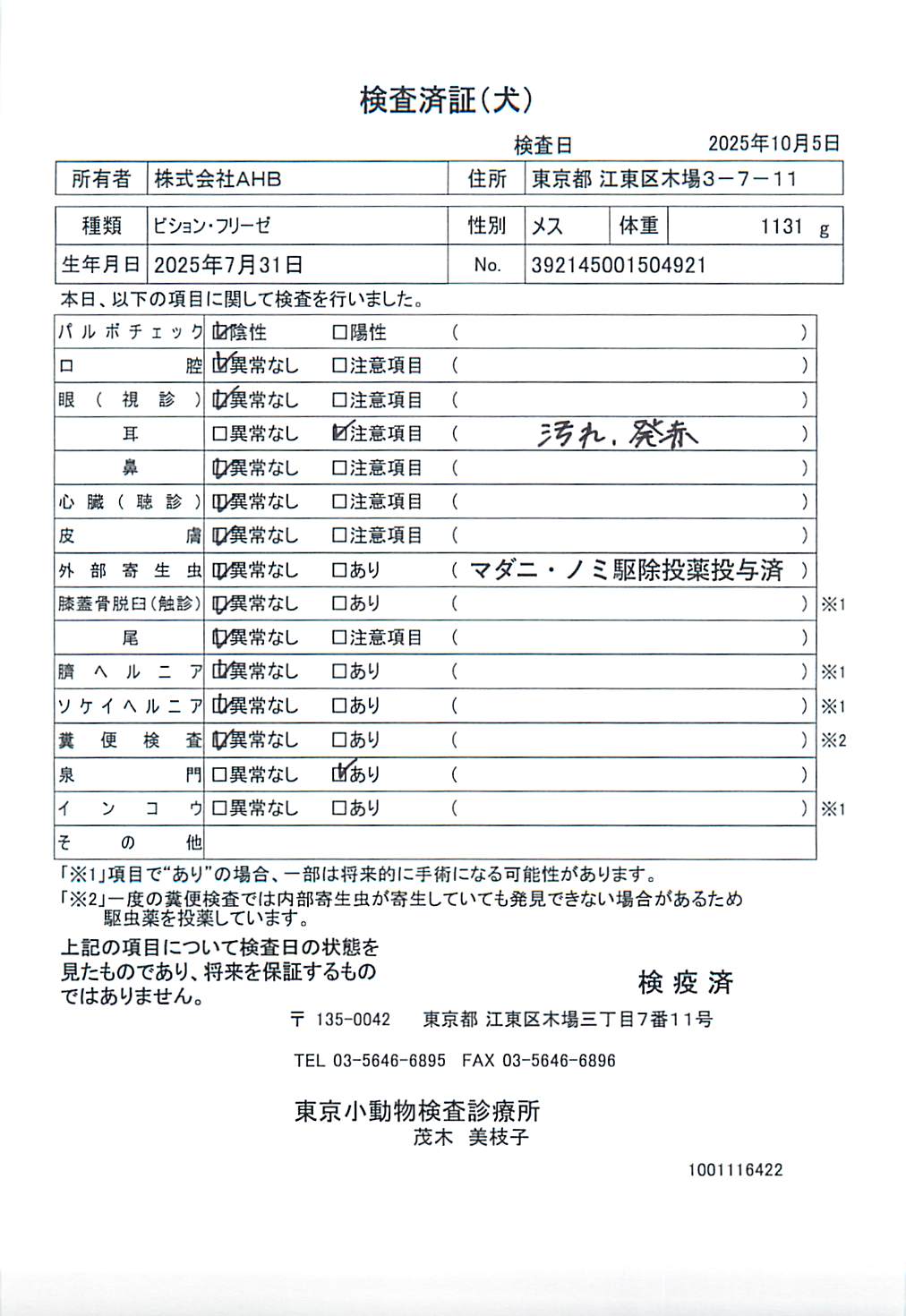 ビション・フリーゼ