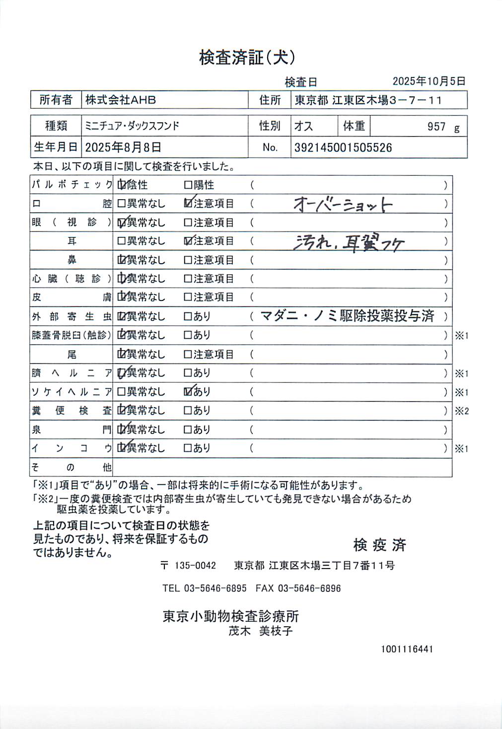 ミニチュア・ダックスフンド