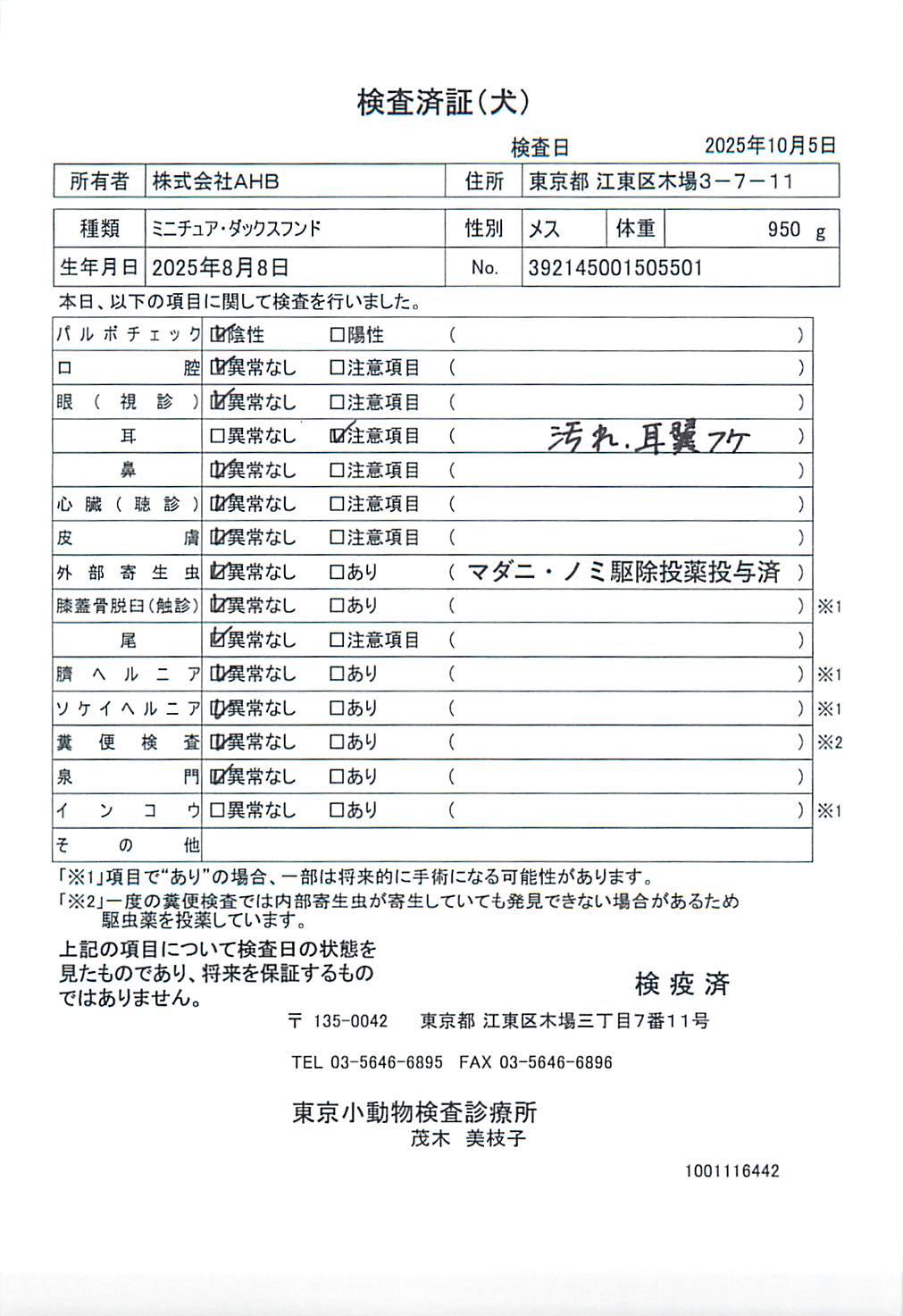 ミニチュア・ダックスフンド