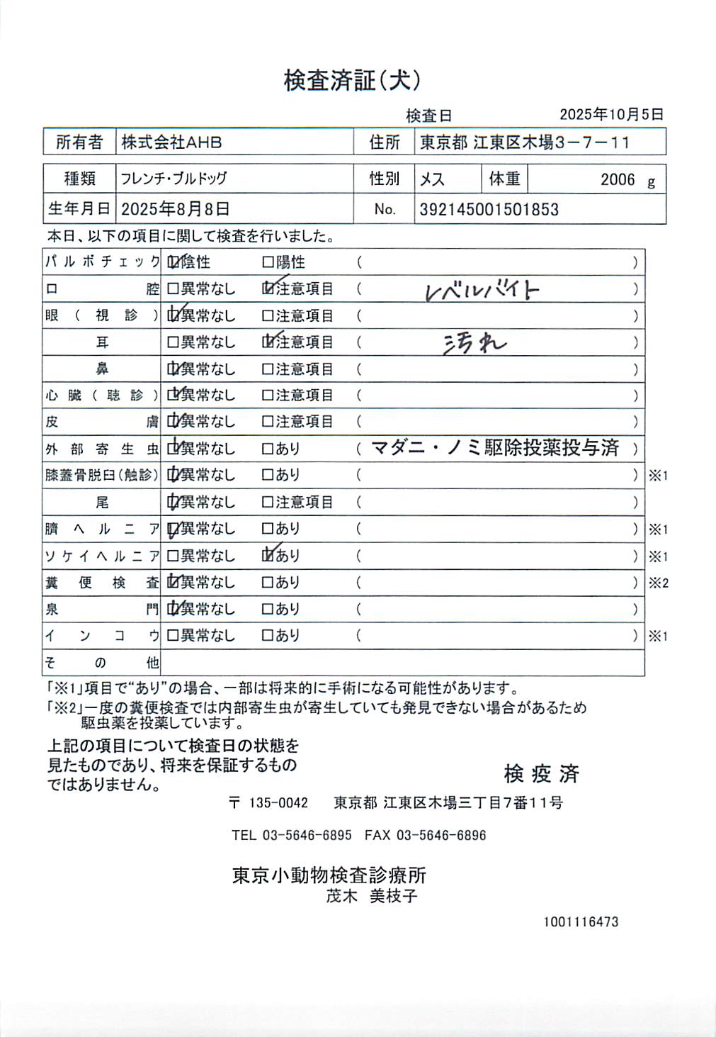 フレンチ・ブルドッグ