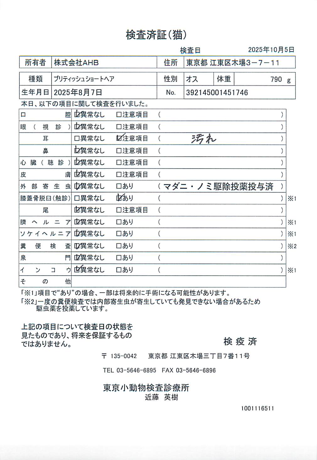 ブリティッシュショートヘア