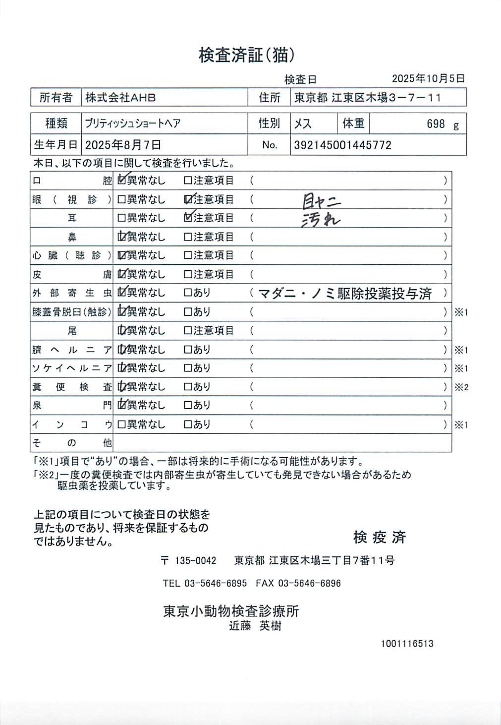 ブリティッシュショートヘア