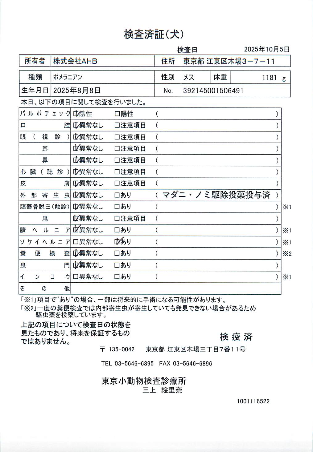 ポメラニアン