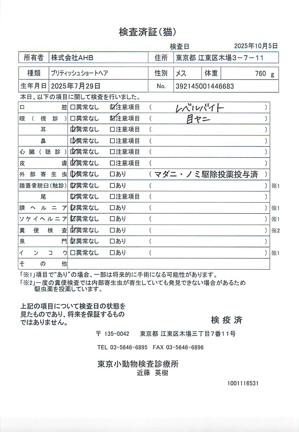 ブリティッシュショートヘア