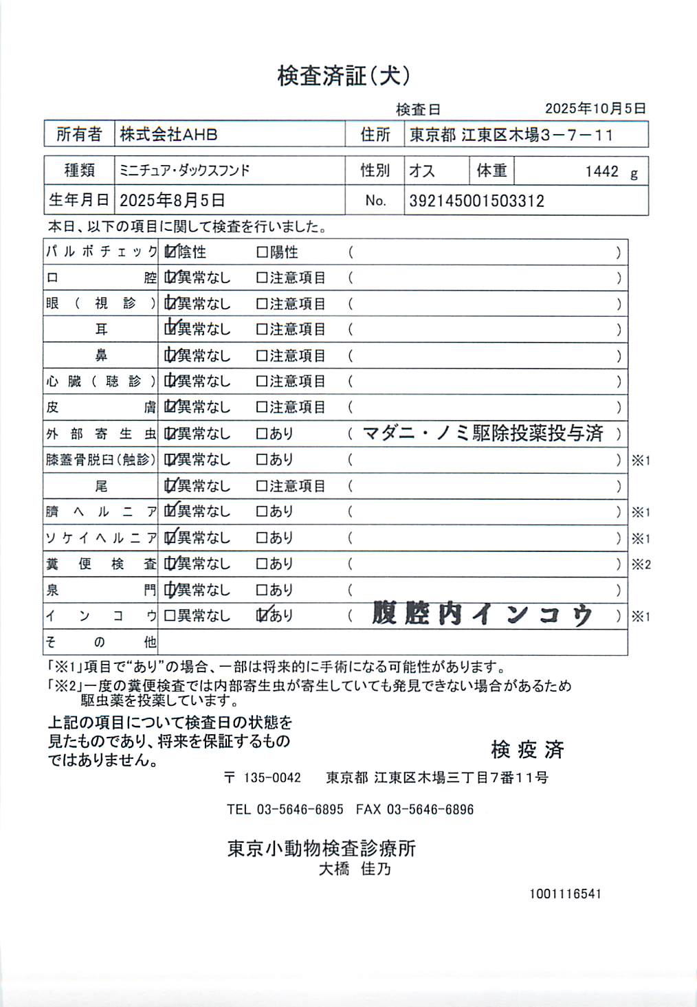 ミニチュア・ダックスフンド