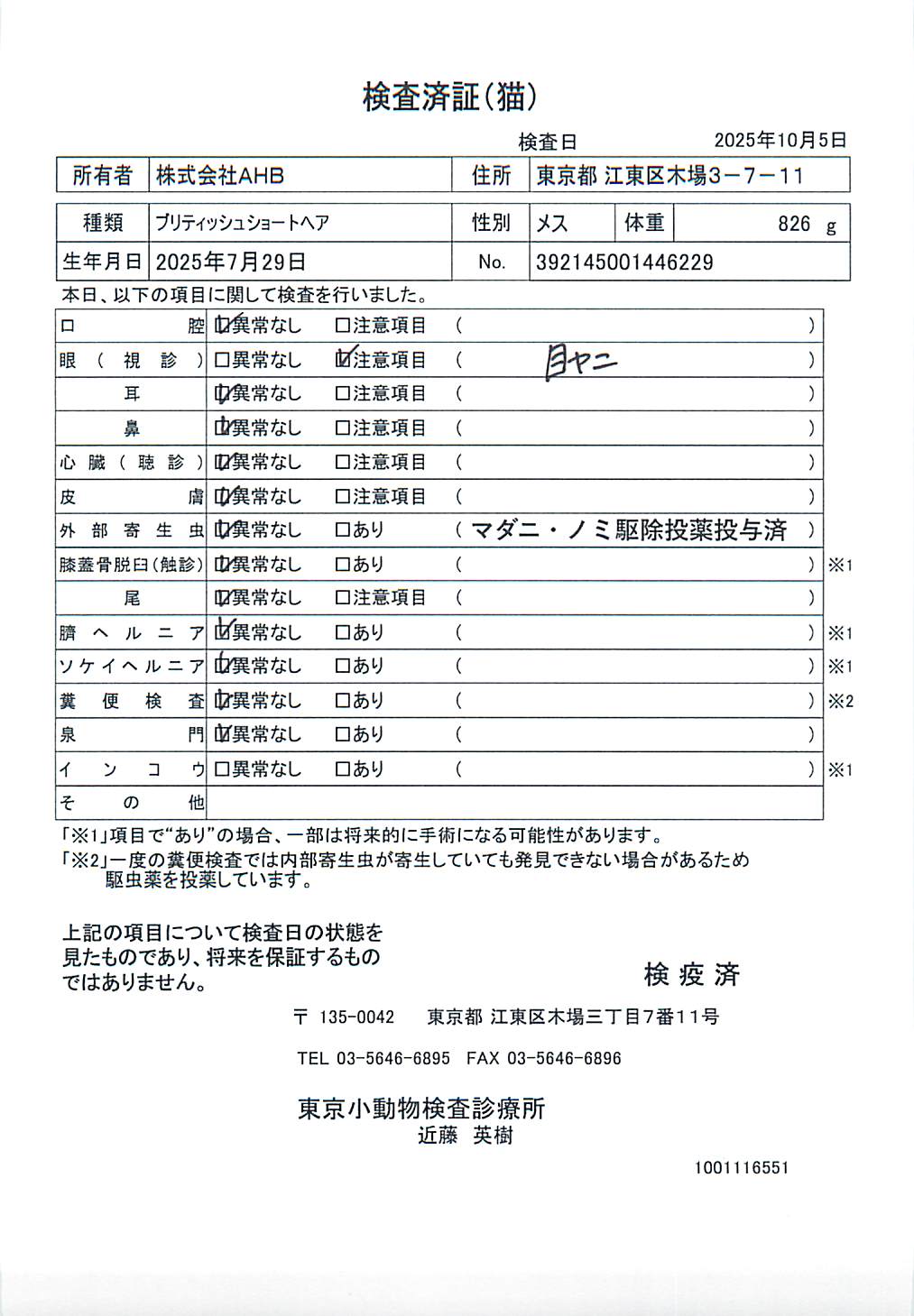 ブリティッシュショートヘア