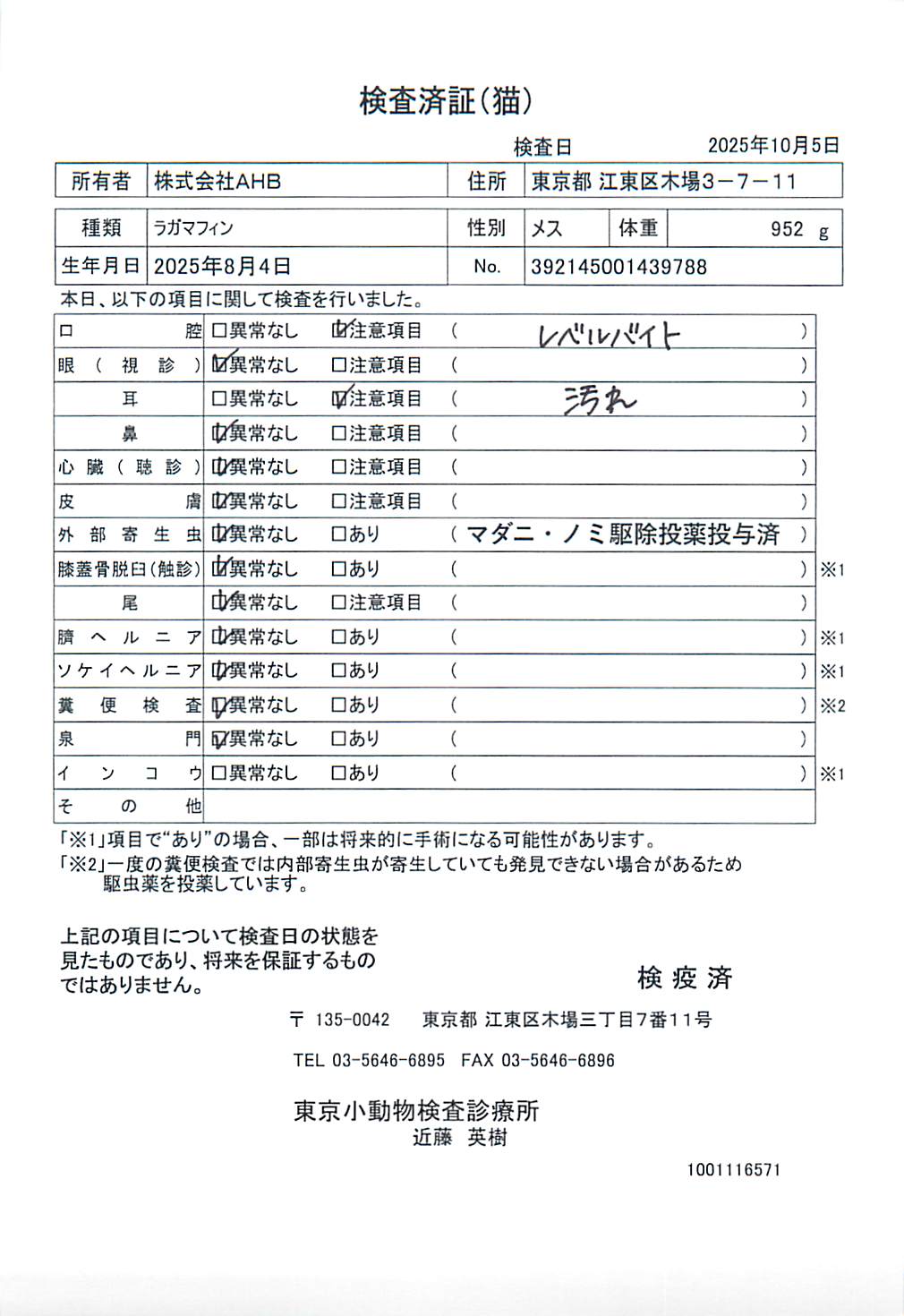 ラガマフィン