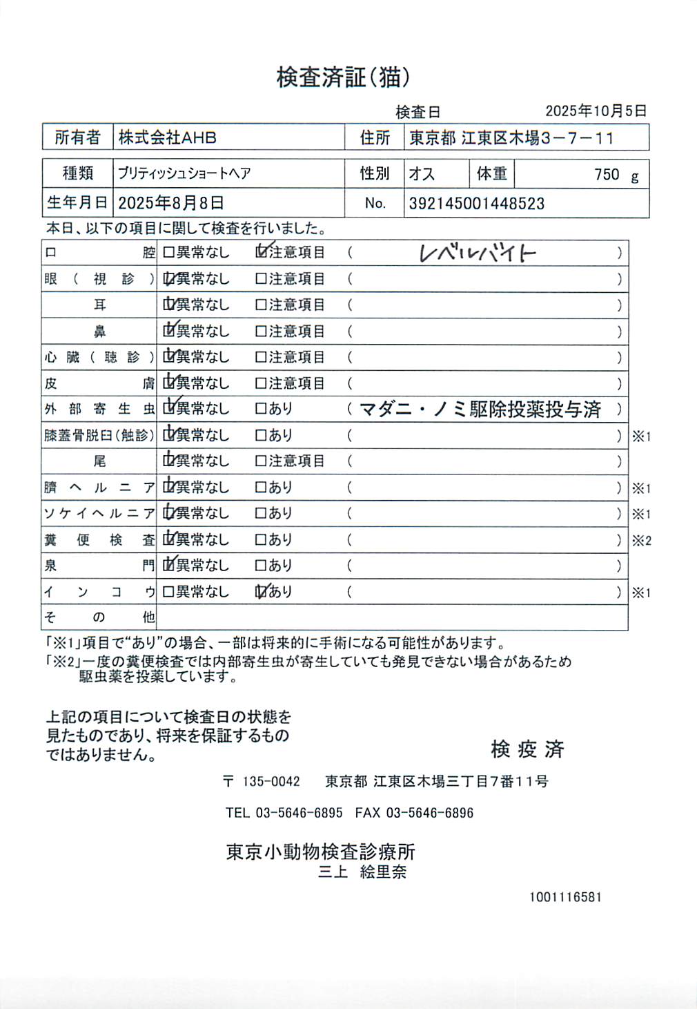 ブリティッシュショートヘア
